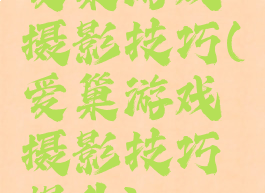 爱巢游戏摄影技巧(爱巢游戏摄影技巧提升)