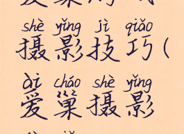 爱巢游戏摄影技巧(爱巢摄影技巧)