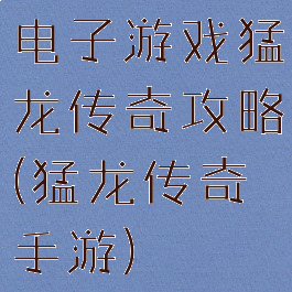 电子游戏猛龙传奇攻略(猛龙传奇手游)