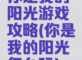 你是我的阳光游戏攻略(你是我的阳光怎么玩)