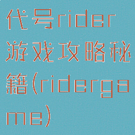 代号rider游戏攻略秘籍(ridergame)