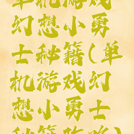 单机游戏幻想小勇士秘籍(单机游戏幻想小勇士秘籍攻略)