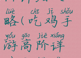 吃鸡手游高阶详细攻略(吃鸡手游高阶详细攻略视频)