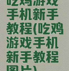 吃鸡游戏手机新手教程(吃鸡游戏手机新手教程图片)