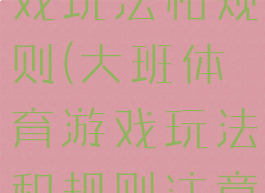 大班体育游戏玩法和规则(大班体育游戏玩法和规则注意事项)