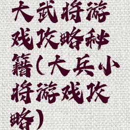 大武将游戏攻略秘籍(大兵小将游戏攻略)