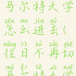 往日不再切马尔特大学怎么进去(往日不再切马尔特大学检查站)