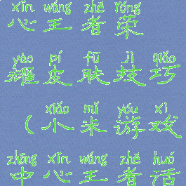 小米游戏中心王者荣耀皮肤技巧(小米游戏中心王者活动)