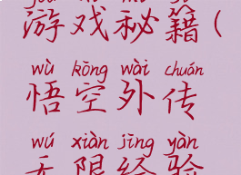 悟空外传游戏秘籍(悟空外传无限经验秘籍)