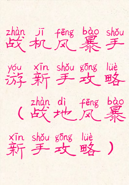 战机风暴手游新手攻略(战地风暴新手攻略)