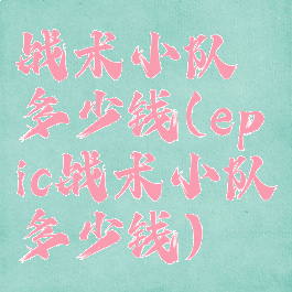 战术小队多少钱(epic战术小队多少钱)