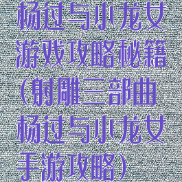 杨过与小龙女游戏攻略秘籍(射雕三部曲杨过与小龙女手游攻略)