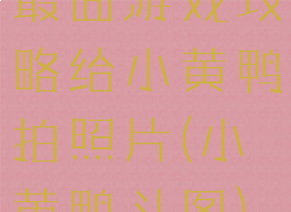 最囧游戏攻略给小黄鸭拍照片(小黄鸭斗图)