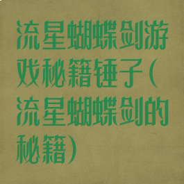 流星蝴蝶剑游戏秘籍锤子(流星蝴蝶剑的秘籍)