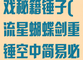 流星蝴蝶剑游戏秘籍锤子(流星蝴蝶剑重锤空中简易必杀)