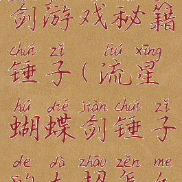 流星蝴蝶剑游戏秘籍锤子(流星蝴蝶剑锤子的大招怎么用)