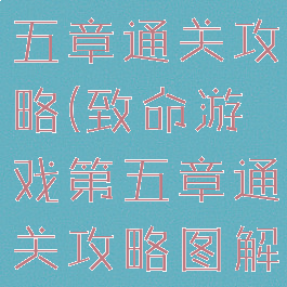 致命游戏第五章通关攻略(致命游戏第五章通关攻略图解)
