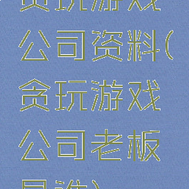 贪玩游戏公司资料(贪玩游戏公司老板是谁)