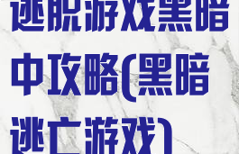 逃脱游戏黑暗中攻略(黑暗逃亡游戏)