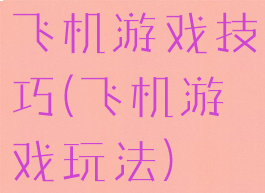 飞机游戏技巧(飞机游戏玩法)